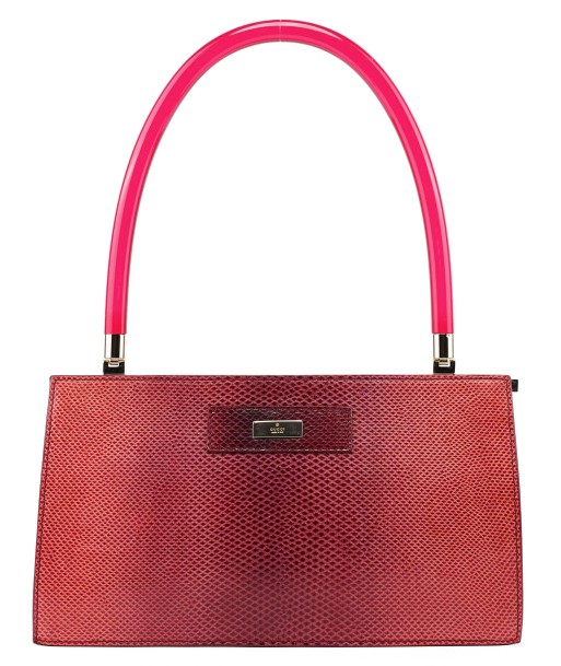 Red Karung Snakeskin Plastic Handle Bag de technologie