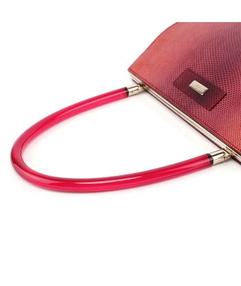 Red Karung Snakeskin Plastic Handle Bag de technologie